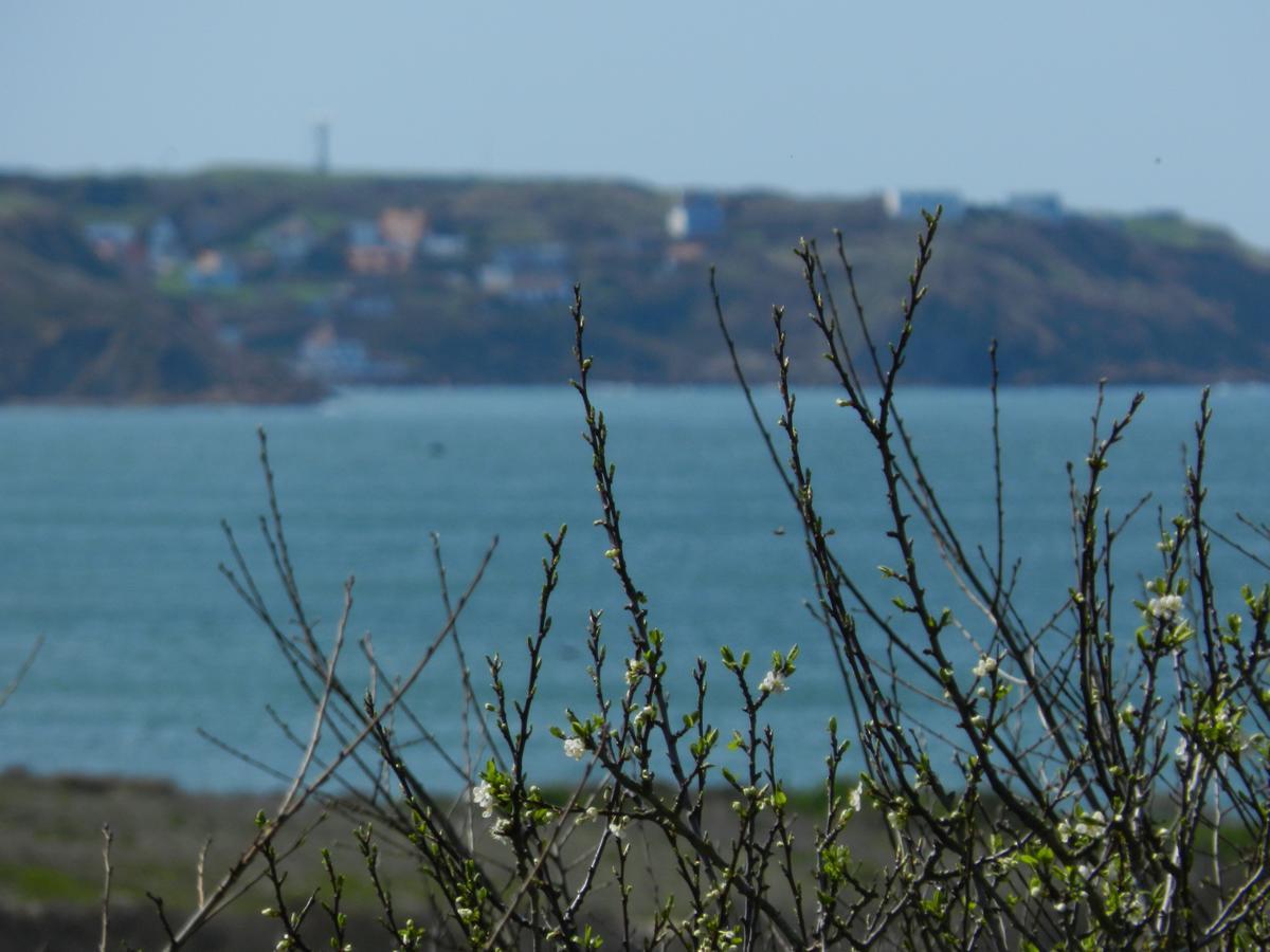 Hotel Le Vivier Wissant - Vue Mer - Cote D'Opale - Baie De Wissant - 2Caps Eksteriør billede